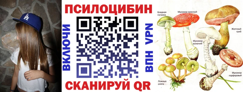 Галлюциногенные грибы GOLDEN TEACHER  Купить  Бирюсинск 